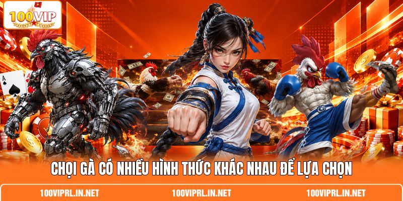 Chọi gà có nhiều hình thức khác nhau để lựa chọn Chọi gà có nhiều hình thức khác nhau để lựa chọn