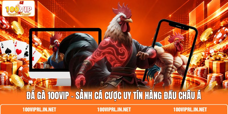 Đá Gà 100VIP - Sảnh Cá Cược Uy Tín Hàng Đầu Châu Á