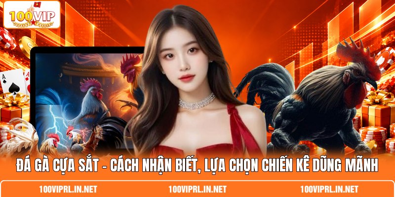 Đá Gà Cựa Sắt | Cách Nhận Biết, Lựa Chọn Chiến Kê Dũng Mãnh