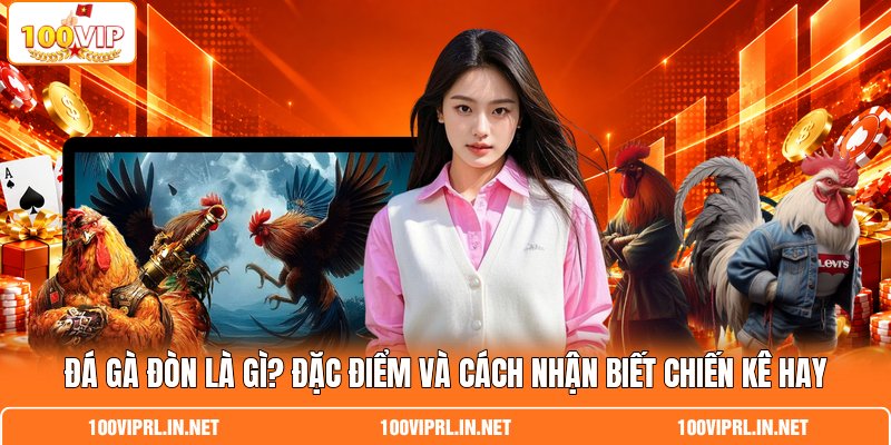 Đá Gà Đòn Là Gì? Đặc điểm Và Cách Nhận Biết Chiến Kê Hay