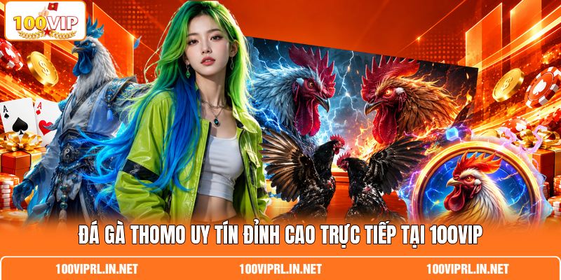 Đá gà Thomo Uy Tín Đỉnh Cao Trực Tiếp Tại 100VIP
