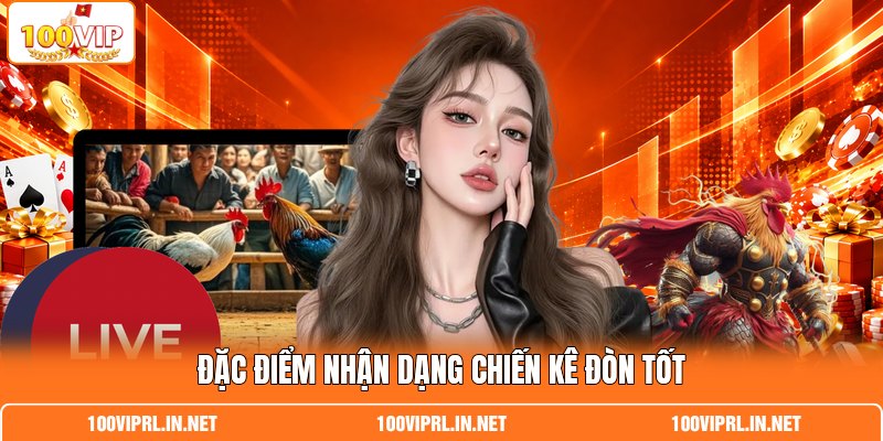 Đặc điểm nhận dạng chiến kê đòn tốt Đặc điểm nhận dạng chiến kê đòn tốt