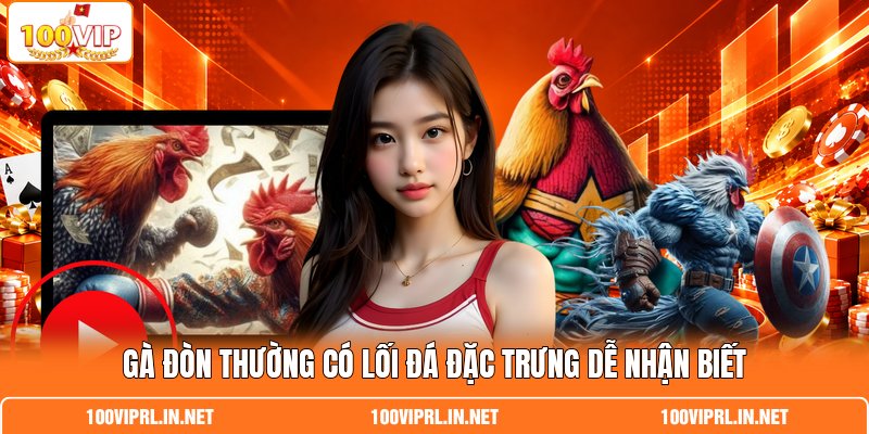 Gà đòn thường có lối đá đặc trưng dễ nhận biết Gà đòn thường có lối đá đặc trưng dễ nhận biết