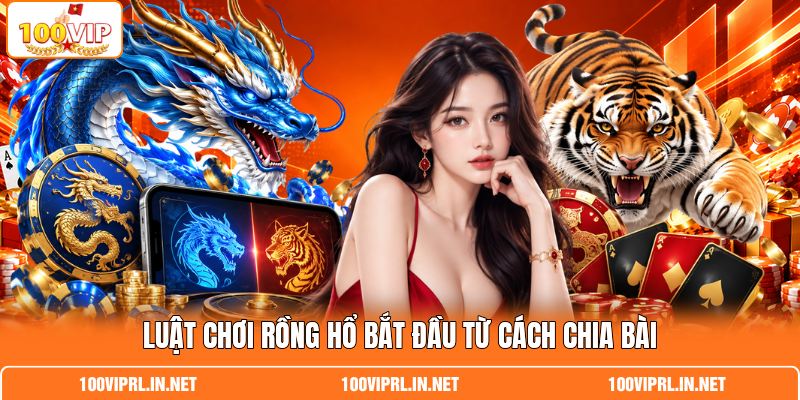Luật chơi Rồng Hổ bắt đầu từ cách chia bài