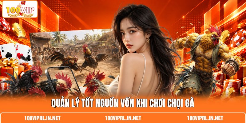 Quản lý tốt nguồn vốn khi chơi chọi gà