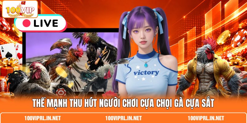 Thế mạnh thu hút người chơi cựa chọi gà cựa sắt