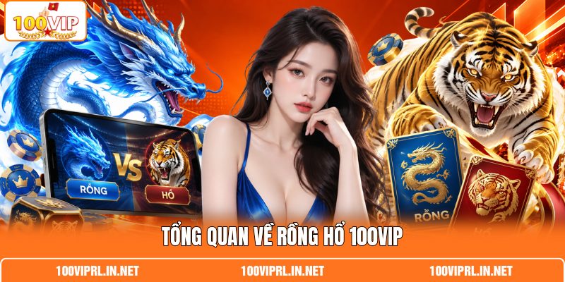 Tổng quan về rồng hổ 100VIP
